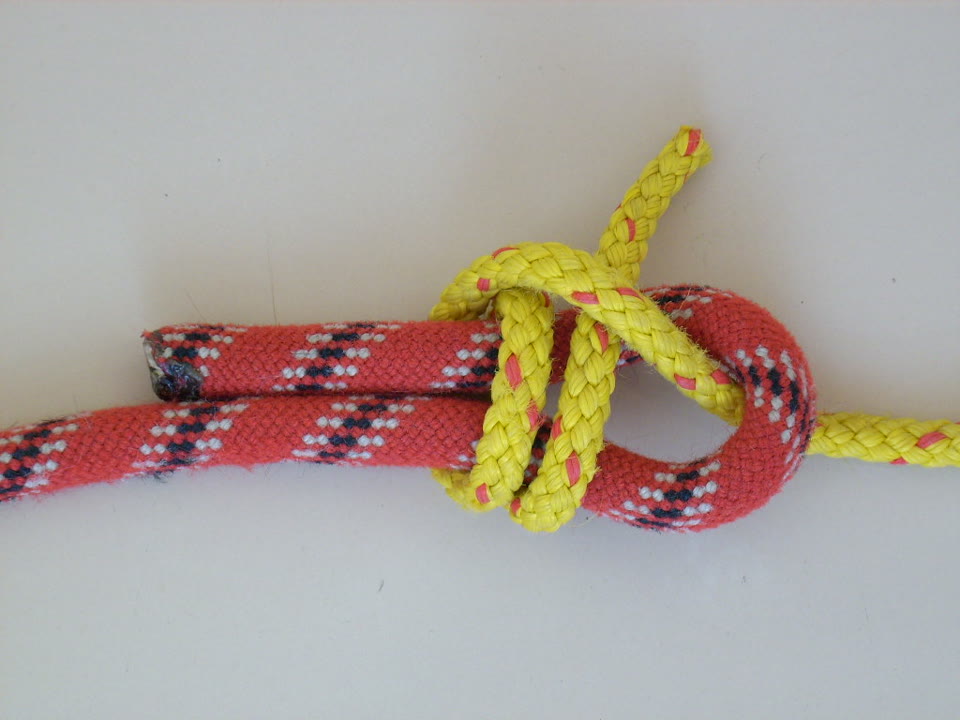 Photo of a double sheet bend: a thinner yellow line wrapped twice around a bight of thicker red line