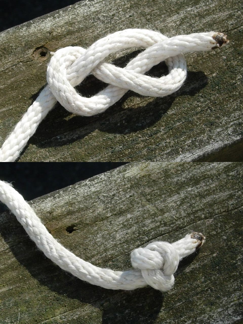 Photo of a figure-eight stopper loose as tied (top) and pulled tight (bottom)